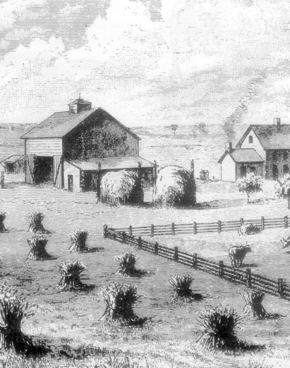 Orígenes de Farming